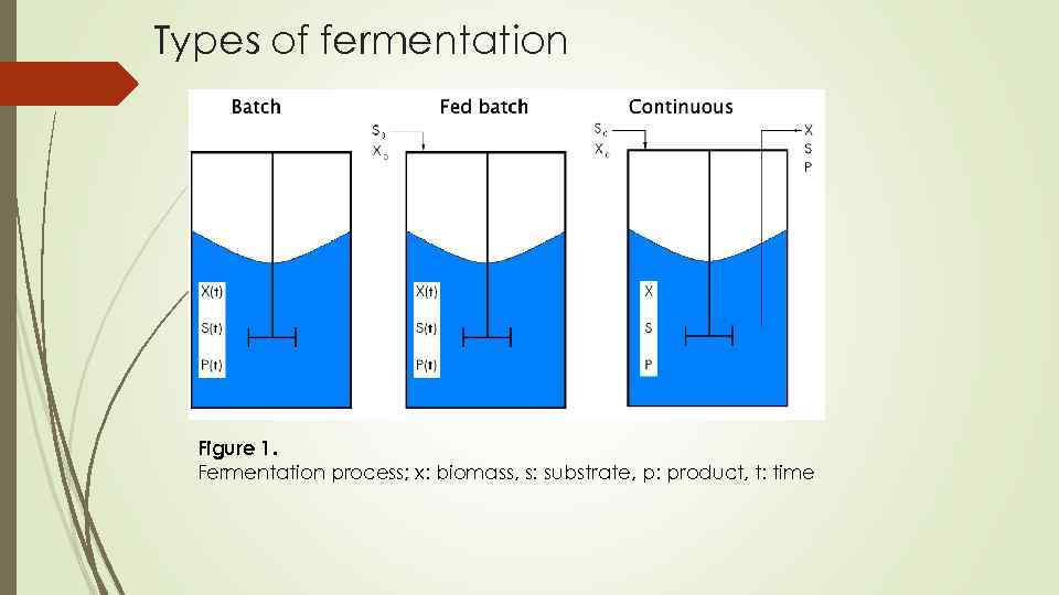 Types of fermentation Figure 1. Fermentation process; x: biomass, s: substrate, p: product, t: