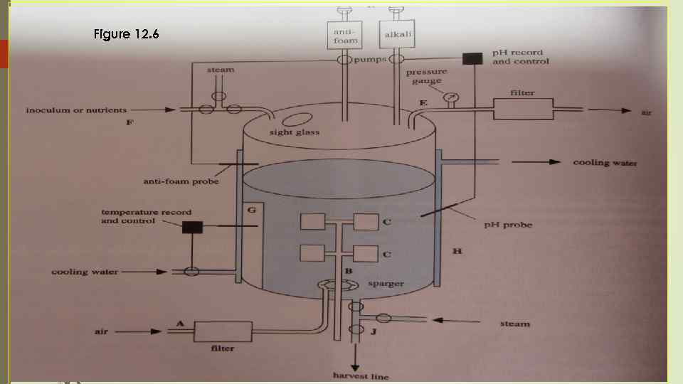 Figure 12. 6 