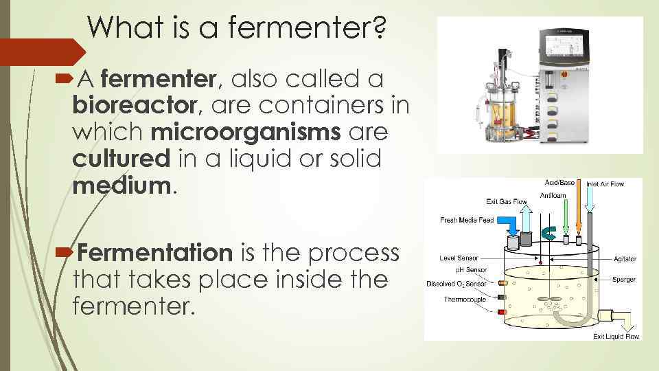 What is a fermenter? A fermenter, also called a bioreactor, are containers in which