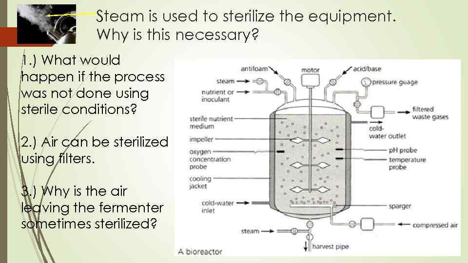 Steam is used to sterilize the equipment. Why is this necessary? 1. ) What