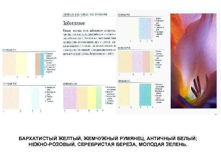 БАРХАТИСТЫЙ ЖЕЛТЫЙ, ЖЕМЧУЖНЫЙ РУМЯНЕЦ, АНТИЧНЫЙ БЕЛЫЙ; НЕЖНО-РОЗОВЫЙ, СЕРЕБРИСТАЯ БЕРЕЗА, МОЛОДАЯ ЗЕЛЕНЬ. 
