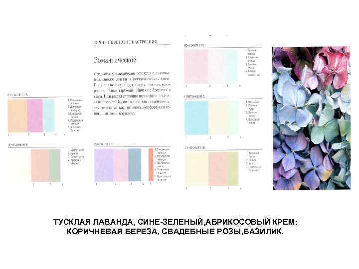 ТУСКЛАЯ ЛАВАНДА, СИНЕ-ЗЕЛЕНЫЙ, АБРИКОСОВЫЙ КРЕМ; КОРИЧНЕВАЯ БЕРЕЗА, СВАДЕБНЫЕ РОЗЫ, БАЗИЛИК. 