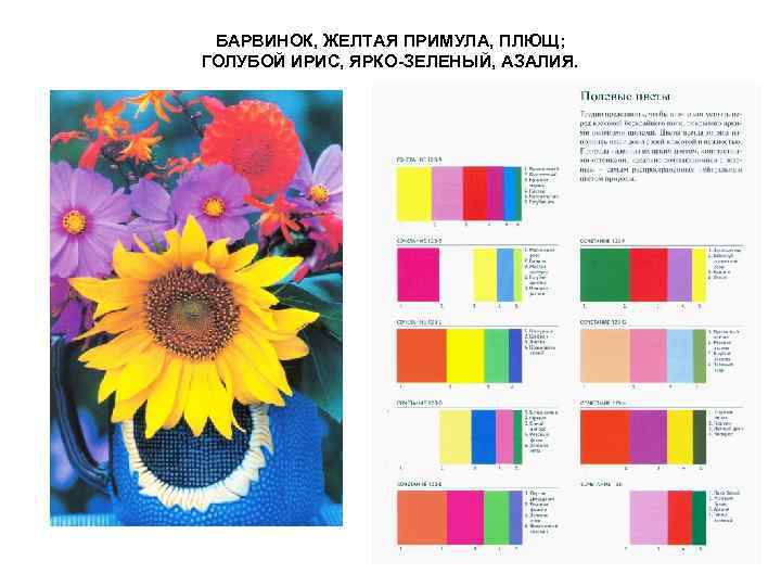 БАРВИНОК, ЖЕЛТАЯ ПРИМУЛА, ПЛЮЩ; ГОЛУБОЙ ИРИС, ЯРКО-ЗЕЛЕНЫЙ, АЗАЛИЯ. 