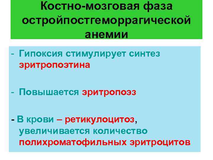 Костно-мозговая фаза остройпостгеморрагической анемии - Гипоксия стимулирует синтез эритропоэтина - Повышается эритропоэз - В