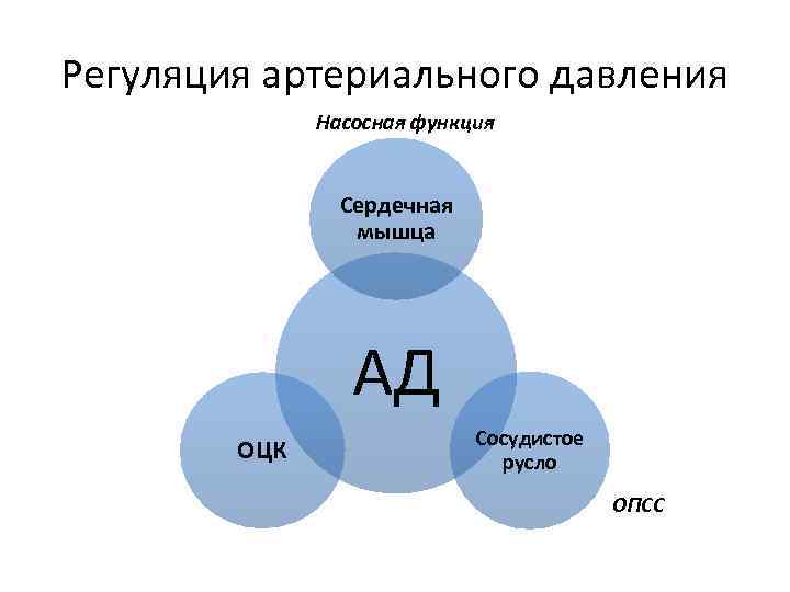 Регуляция артериального давления Насосная функция Сердечная мышца АД ОЦК Сосудистое русло ОПСС 