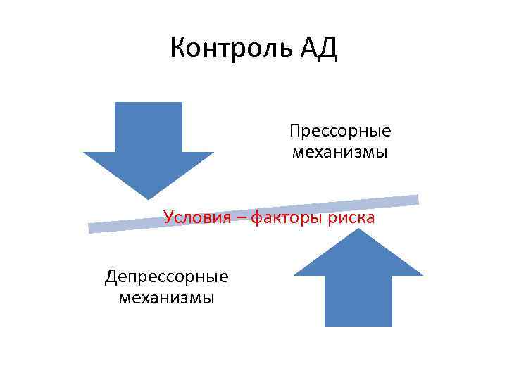 Контроль АД Прессорные механизмы Условия – факторы риска Депрессорные механизмы 
