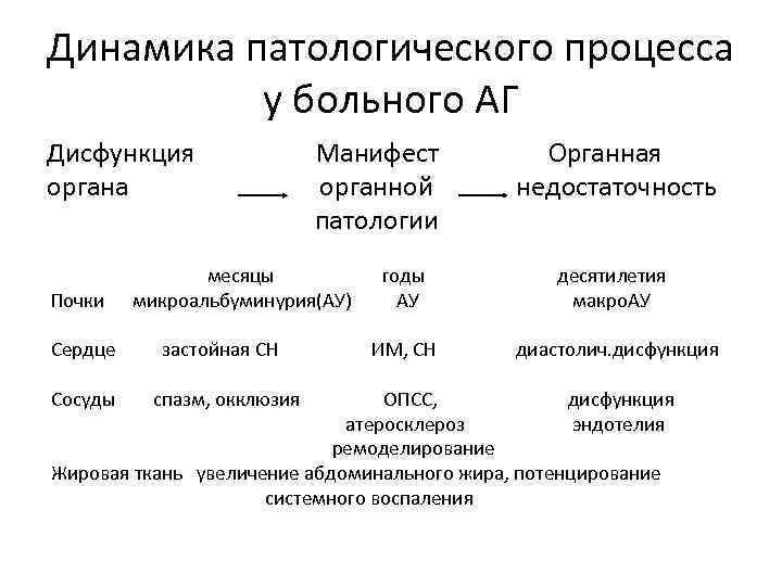 Динамика патологического процесса у больного АГ Дисфункция органа Почки Манифест органной патологии месяцы микроальбуминурия(АУ)