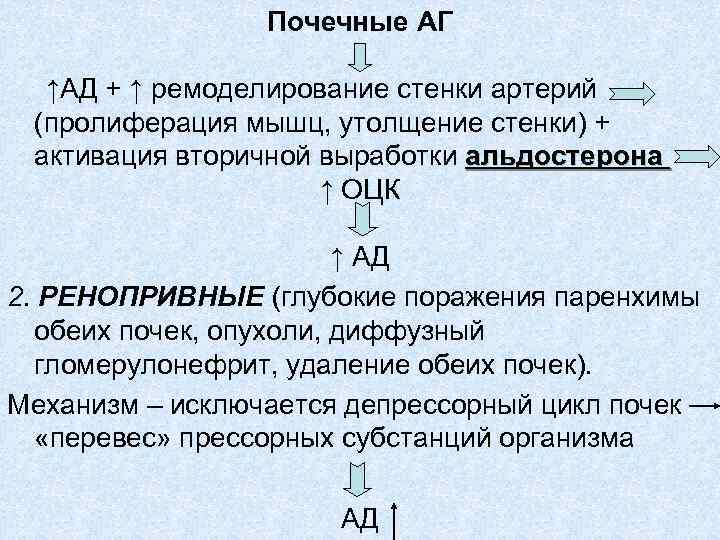 Почечные АГ ↑АД + ↑ ремоделирование стенки артерий (пролиферация мышц, утолщение стенки) + активация