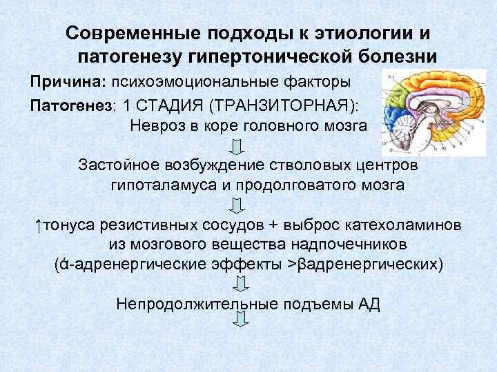 Современные подходы к этиологии и патогенезу гипертонической болезни Причина: психоэмоциональные факторы Патогенез: 1 СТАДИЯ