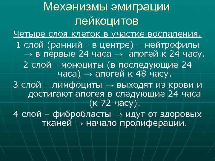 Механизмы эмиграции лейкоцитов Четыре слоя клеток в участке воспаления. 1 слой (ранний - в