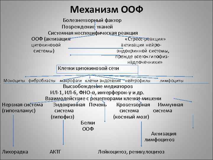 Механизм ООФ Болезнетворный фактор Повреждение тканей Системная неспецифическая реакция ООФ (активация «Стресс-реакция» цитокиновой системы)