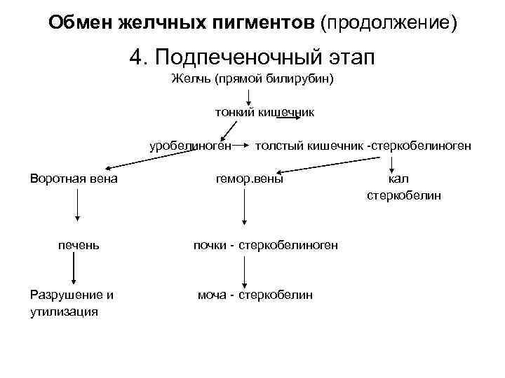 Обмен желчных пигментов (продолжение) 4. Подпеченочный этап Желчь (прямой билирубин) тонкий кишечник уробелиноген Воротная