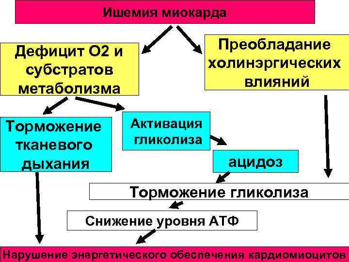 Ишемия миокарда Преобладание холинэргических влияний Дефицит О 2 и субстратов метаболизма Торможение тканевого дыхания