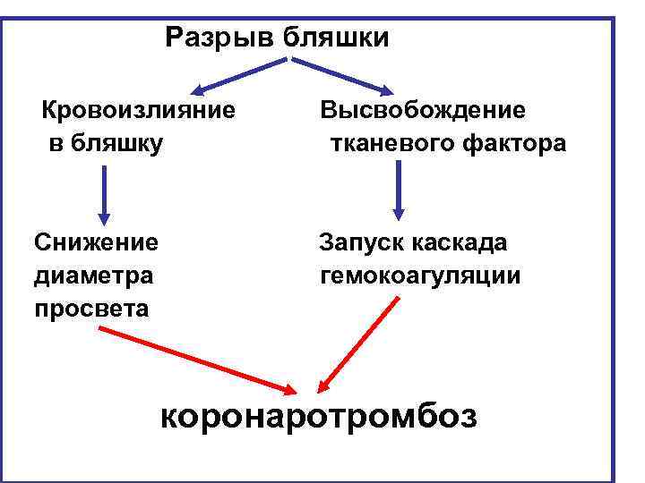 Разрыв бляшки Кровоизлияние в бляшку Высвобождение тканевого фактора Снижение диаметра просвета Запуск каскада гемокоагуляции