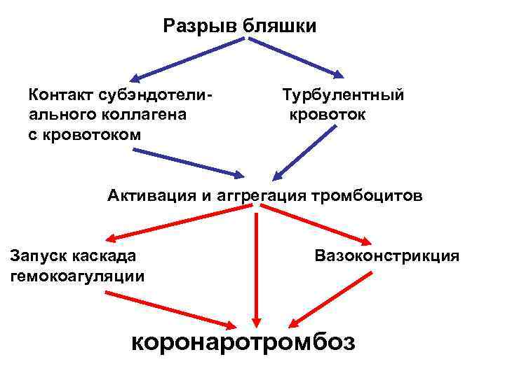 Разрыв бляшки Контакт субэндотелиального коллагена с кровотоком Турбулентный кровоток Активация и аггрегация тромбоцитов Запуск