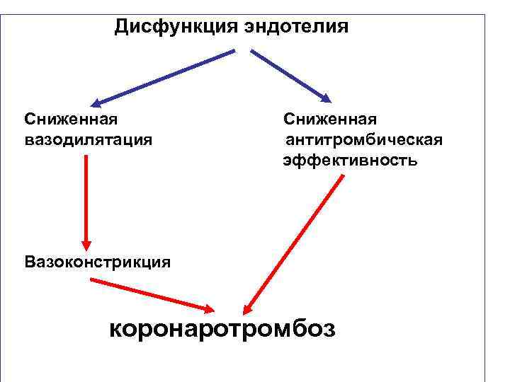Дисфункция эндотелия Сниженная вазодилятация Сниженная антитромбическая эффективность Вазоконстрикция коронаротромбоз 