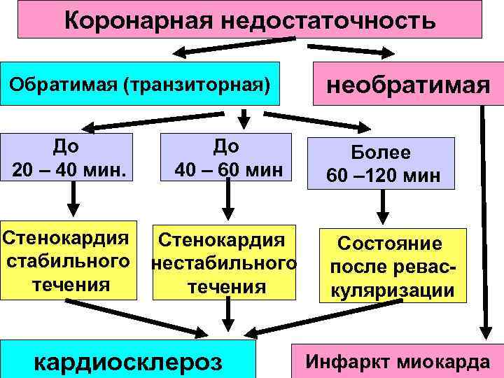 Коронарная недостаточность Обратимая (транзиторная) необратимая До 20 – 40 мин. До 40 – 60
