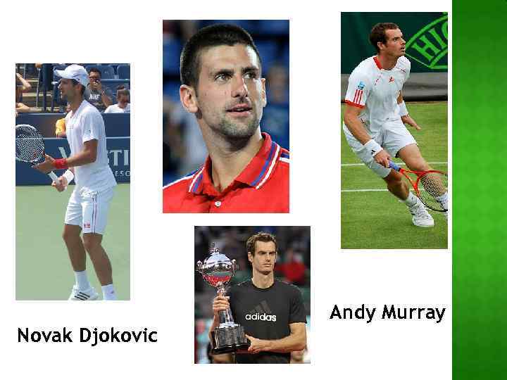 Andy Murray Novak Djokovic 