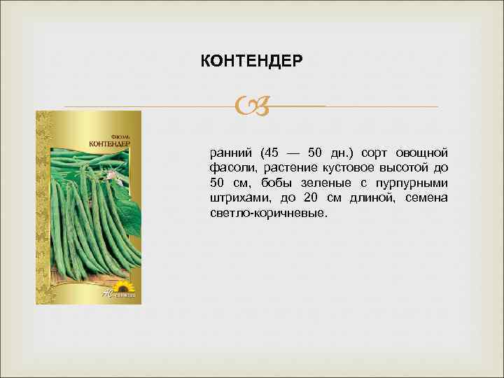 КОНТЕНДЕР ранний (45 — 50 дн. ) сорт овощной фасоли, растение кустовое высотой до