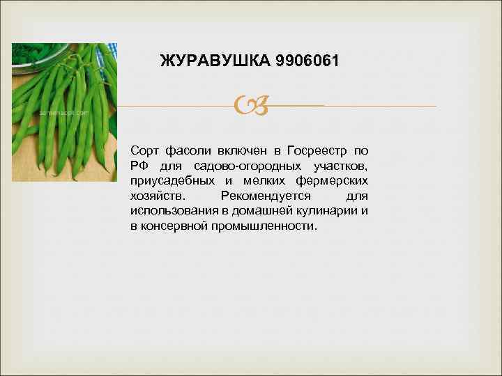 ЖУРАВУШКА 9906061 Сорт фасоли включен в Госреестр по РФ для садово-огородных участков, приусадебных и