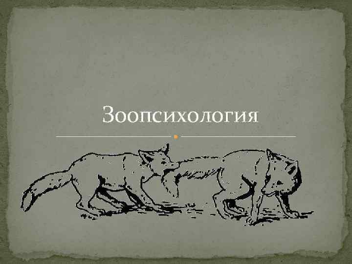 Зоопсихология 