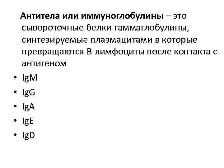  • • • Антитела или иммуноглобулины – это сывороточные белки-гаммаглобулины, синтезируемые плазмацитами в