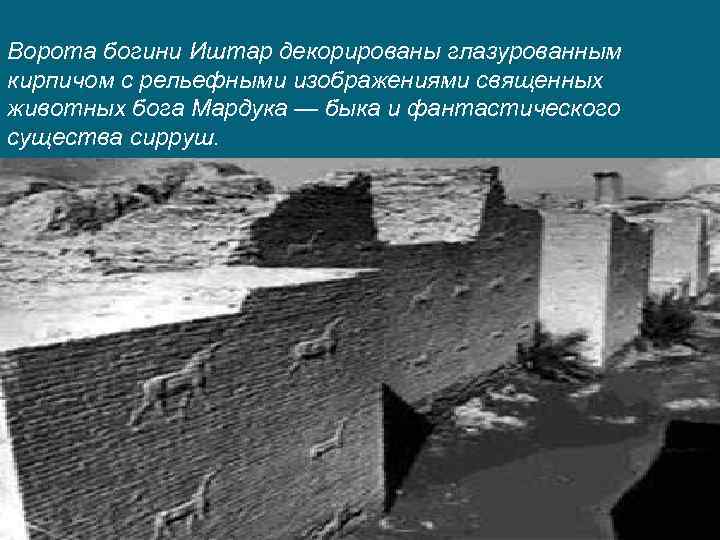 Ворота богини Иштар декорированы глазурованным кирпичом с рельефными изображениями священных животных бога Мардука —