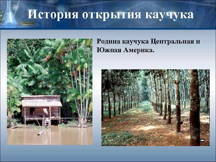 История открытия каучука Родина каучука Центральная и Южная Америка. 