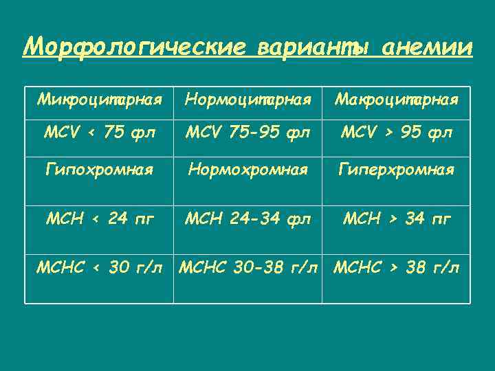 Морфологические варианты анемии Микроцитарная Нормоцитарная Макроцитарная MCV < 75 фл MCV 75 -95 фл