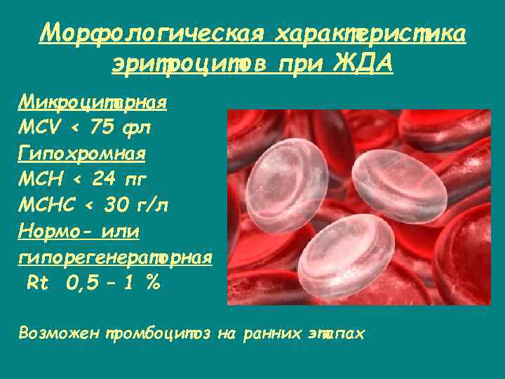 Морфологическая характеристика эритроцитов при ЖДА Микроцитарная MCV < 75 фл Гипохромная MCH < 24