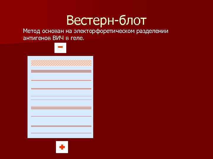 Вестерн-блот Метод основан на электорфоретическом разделении антигенов ВИЧ в геле. - - 