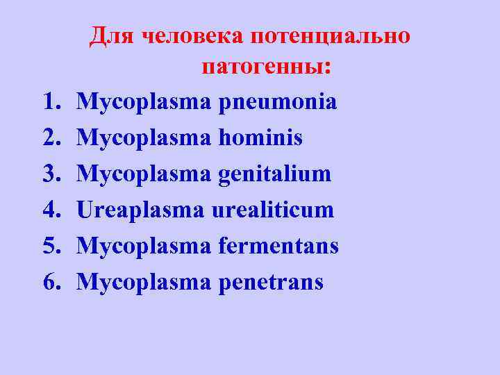 1. 2. 3. 4. 5. 6. Для человека потенциально патогенны: Mycoplasma pneumonia Mycoplasma hominis
