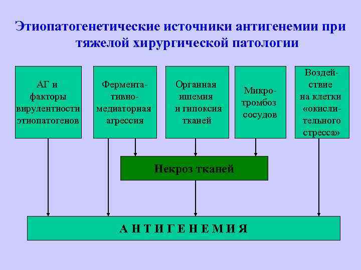 Этиопатогенетические источники антигенемии при тяжелой хирургической патологии АГ и факторы вирулентности этиопатогенов Ферментативномедиаторная агрессия