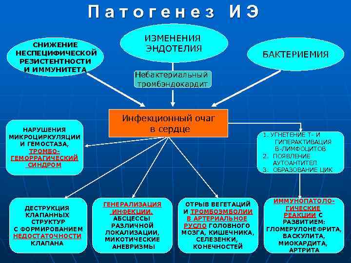 Патогенез ИЭ СНИЖЕНИЕ НЕСПЕЦИФИЧЕСКОЙ РЕЗИСТЕНТНОСТИ И ИММУНИТЕТА НАРУШЕНИЯ МИКРОЦИРКУЛЯЦИИ И ГЕМОСТАЗА, ТРОМБОГЕМОРРАГИЧЕСКИЙ СИНДРОМ ДЕСТРУКЦИЯ