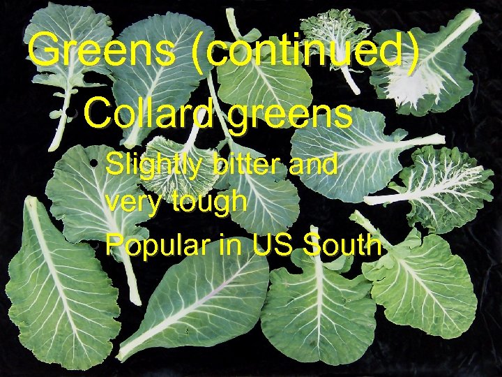 Greens (continued) • Collard greens • Slightly bitter and very tough • Popular in