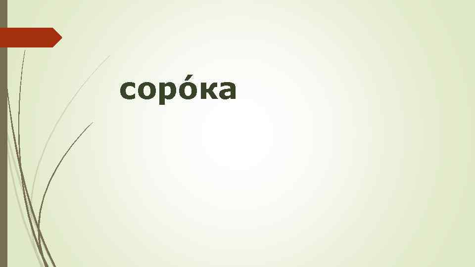 сорóка 