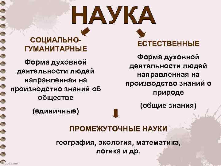 СОЦИАЛЬНОГУМАНИТАРНЫЕ Форма духовной деятельности людей направленная на производство знаний об обществе (единичные) ЕСТЕСТВЕННЫЕ Форма