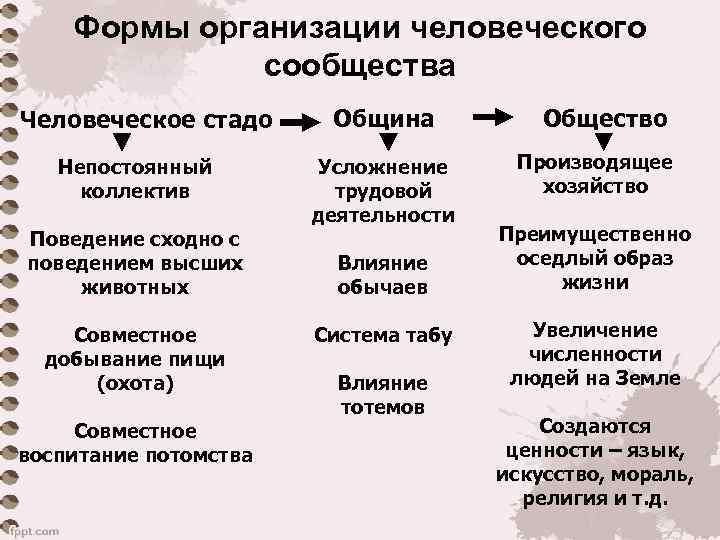 Формы организации человеческого сообщества Человеческое стадо Непостоянный коллектив Поведение сходно с поведением высших животных