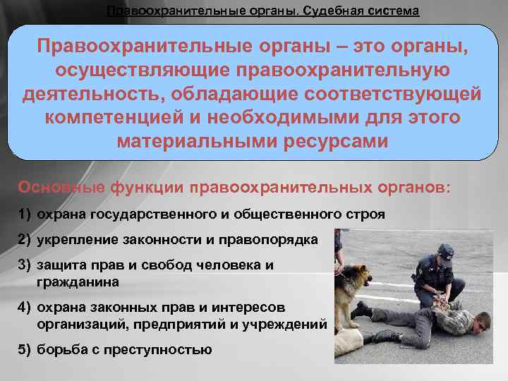 Правоохранительные органы. Судебная система Правоохранительные органы – это органы, осуществляющие правоохранительную деятельность, обладающие соответствующей