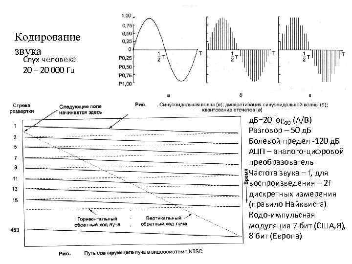 Кодирование звука Слух человека 20 – 20 000 Гц д. Б=20 log 10 (A/B)