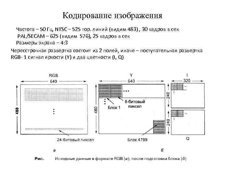 Кодирование изображения Частота – 50 Гц, NTSC – 525 гор. линий (видим 483) ,