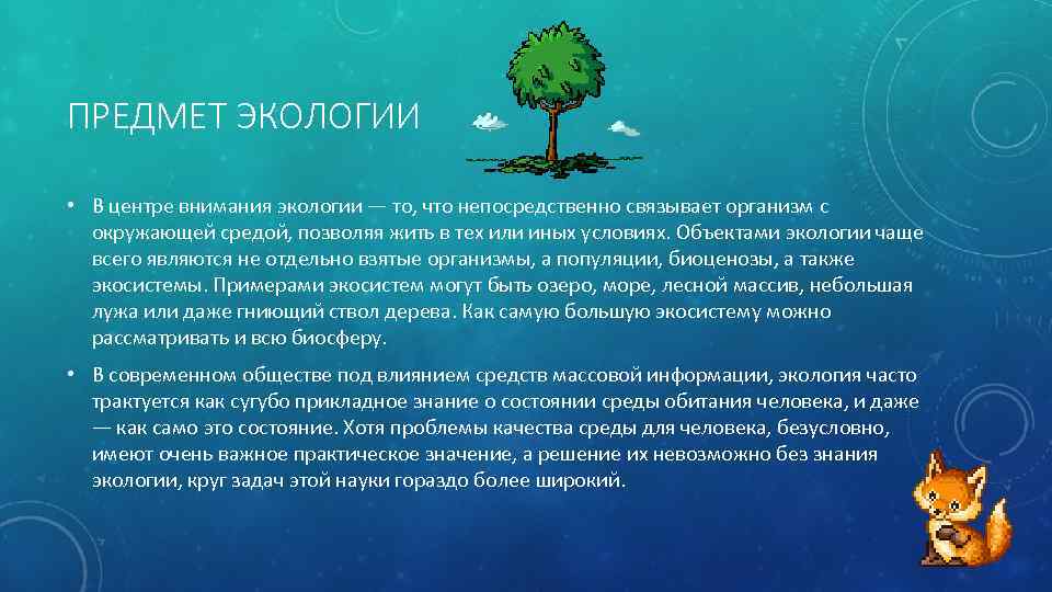 ПРЕДМЕТ ЭКОЛОГИИ • В центре внимания экологии — то, что непосредственно связывает организм с