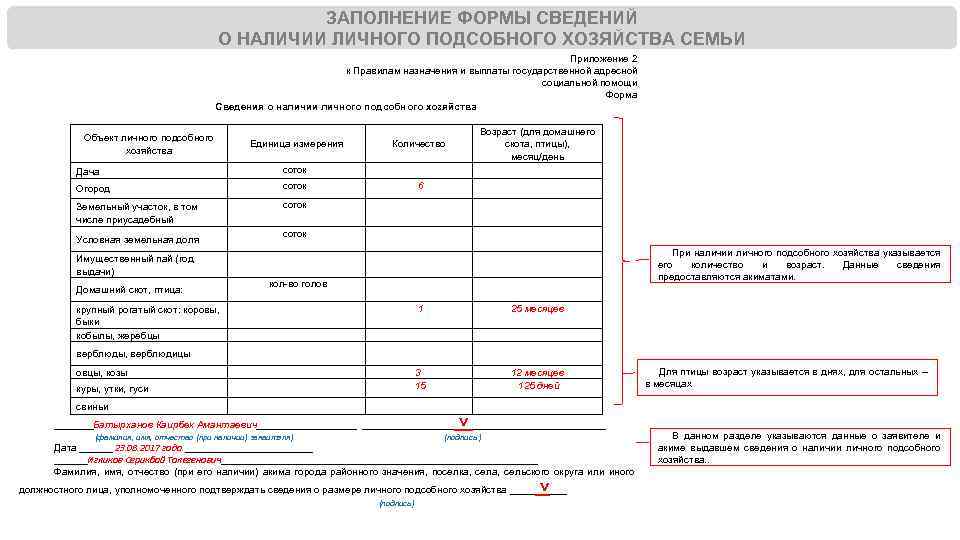 Как заполнять план развития личного подсобного хозяйства