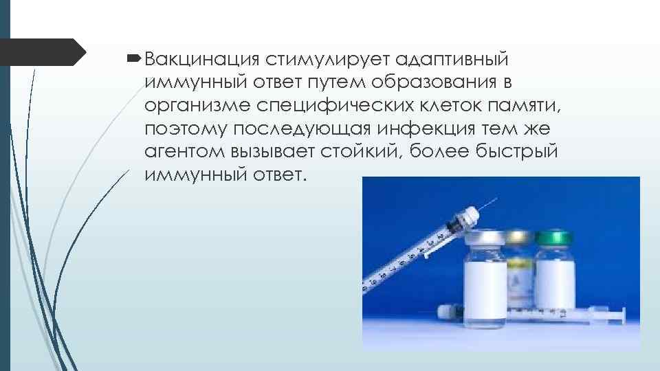  Вакцинация стимулирует адаптивный иммунный ответ путем образования в организме специфических клеток памяти, поэтому