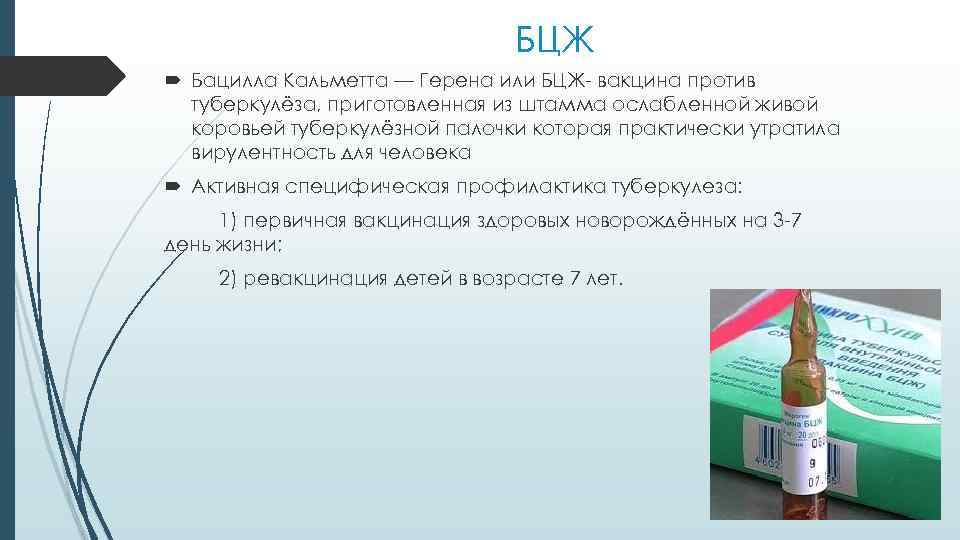 БЦЖ Бацилла Кальметта — Герена или БЦЖ- вакцина против туберкулёза, приготовленная из штамма ослабленной
