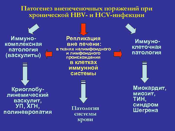 Патогенез внепеченочных поражений при хронической HBV- и HCV-инфекции Иммунокомплексная патология (васкулиты) Репликация вне печени: