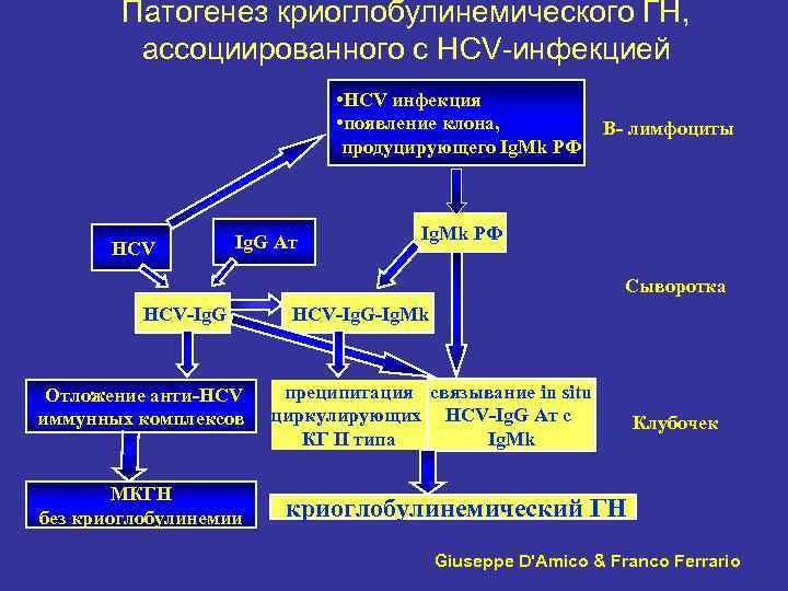 Патогенез криоглобулинемического ГН, ассоциированного с HCV-инфекцией • HCV инфекция • появление клона, продуцирующего Ig.
