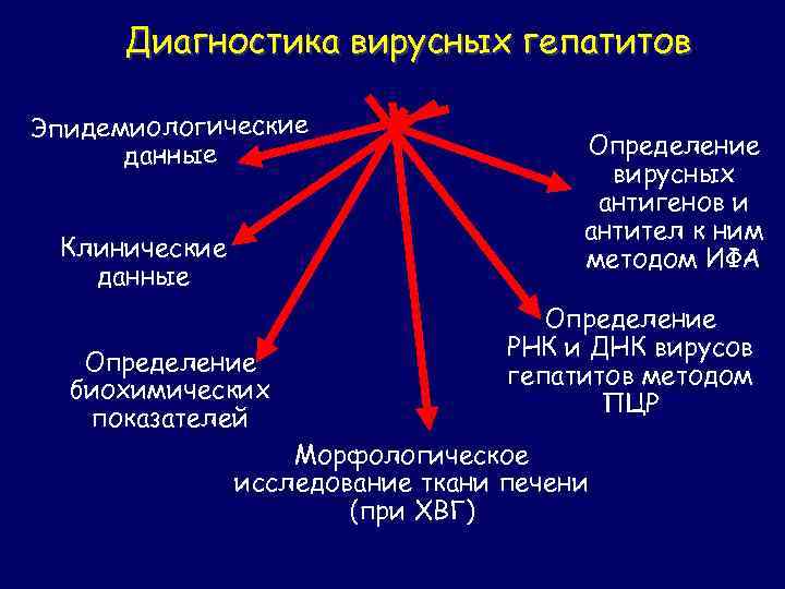 Диагностика вирусных гепатитов Эпидемиологические данные Клинические данные Определение биохимических показателей Определение вирусных антигенов и