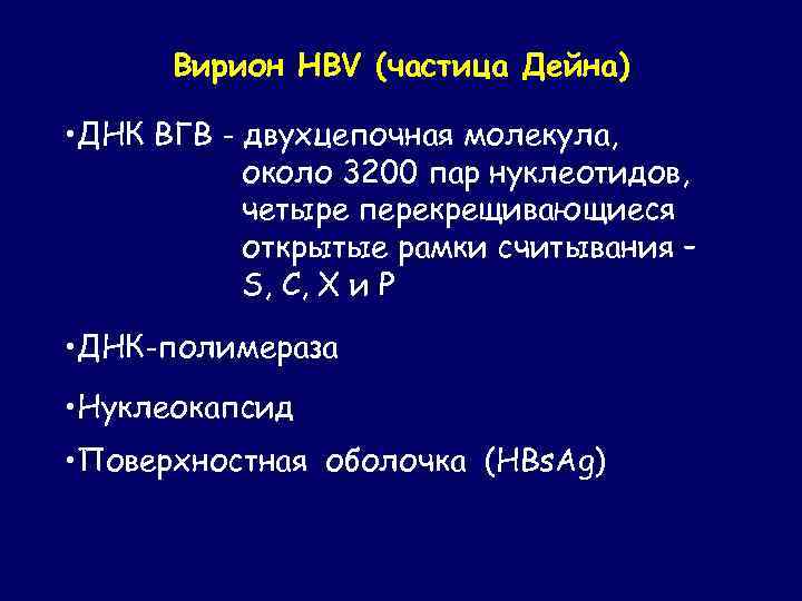 Вирион HBV (частица Дейна) • ДНК ВГВ - двухцепочная молекула, около 3200 пар нуклеотидов,