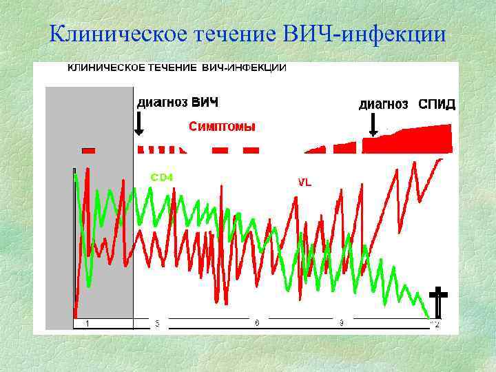 Клиническое течение ВИЧ-инфекции 